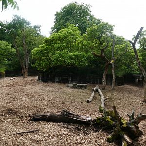Indian Rhinoceros Outdoor Exhibit