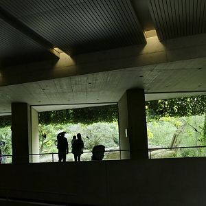 Gamgoas House- Lion Viewing Gallery