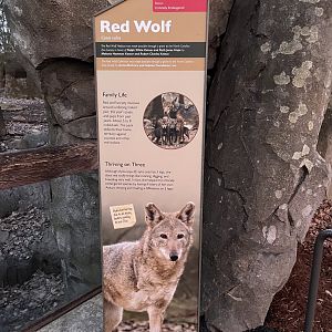 Red Wolf sign explaining Ayita’s leg
