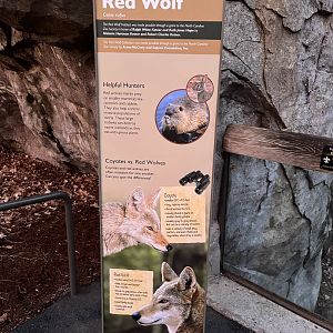 Red Wolf sign comparing canids