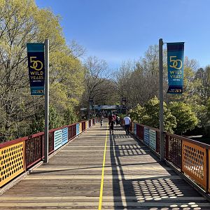 Africa Bridge with anniversary banners