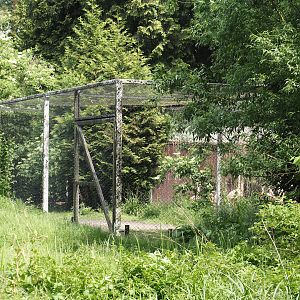 Greater flamingo holding aviary, 2024-05-21