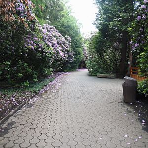Walkway near flamingo exhibits, 2024-05-23