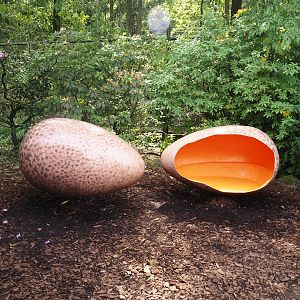 Egg seats, 2024-05-21