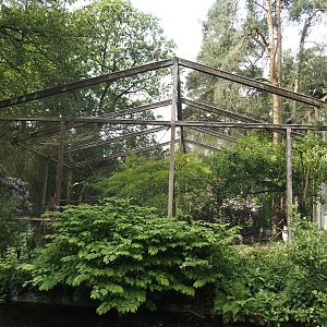 Uhu-Burg - Wetland aviary with three African stork species, 2024-05-21