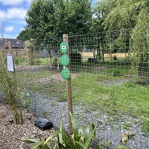 New Bush Dog Enclosure