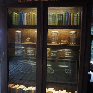 Old bookcase with owl pellets and owl nutrition display, 2024-05-21