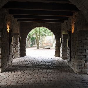 Uhu-Burg - Entrance walkway, 2024-05-21