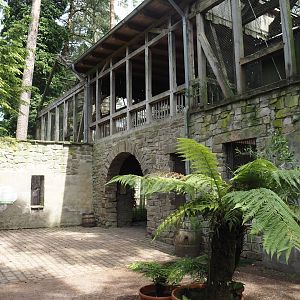 Uhu-Burg - Inner square with access to walk-through aviary and viewing areas for vulture aviary, 2024-05-21