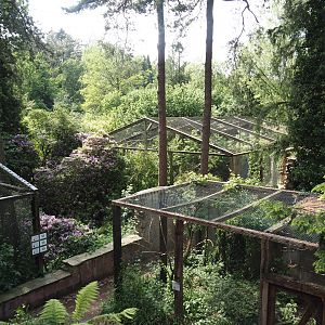 Uhu-Burg - Wetland aviaries and owl aviary seen from the upper level, 2024-05-21