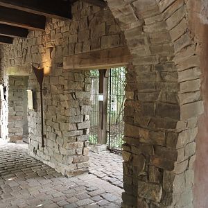 Uhu-Burg - Viewing area into Eurasian eagle-owl, Steppe eagle and raven aviary, 2024-05-21