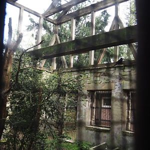 Uhu-Burg - Eurasian eagle-owl, Steppe eagle and Raven aviary, 2024-05-21