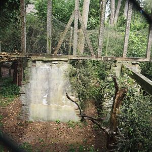 Uhu-Burg - Eurasian eagle-owl, Steppe eagle and Raven aviary, 2024-05-21