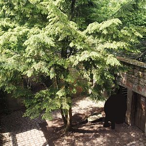 Uhu-Burg - Entrance to walk-through aviary seen from upper level, 2024-05-21