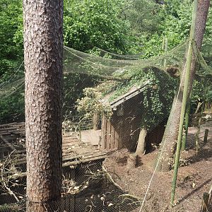 Uhu-Burg - Walk-through aviary seen from upper level, 2024-05-21