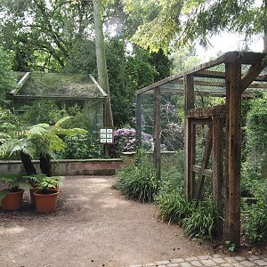 Uhu-Burg - Barn owl aviary and African storks aviary, 2024-05-21
