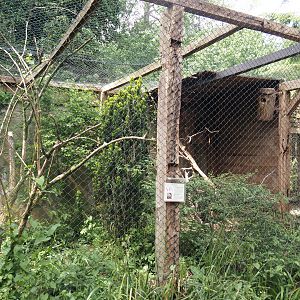 Uhu-Burg - Common barn owl aviary, 2024-05-21
