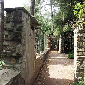 Uhu-Burg - Walkway, 2024-05-21