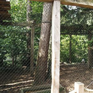 Uhu-Burg - Snowy owl aviary, 2024-05-21