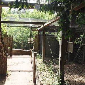 Uhu-Burg - Snowy owl aviary and Second African wetland aviary viewing areas, 2024-05-21