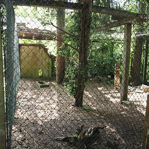 Uhu-Burg - Snowy owl aviary, 2024-05-23