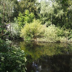 Forest lake seen from the Uhu-burg, 2024-05-21