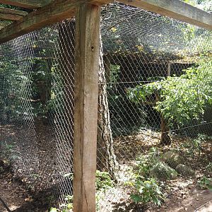 Uhu-Burg - Ural owl aviary, 2024-05-21
