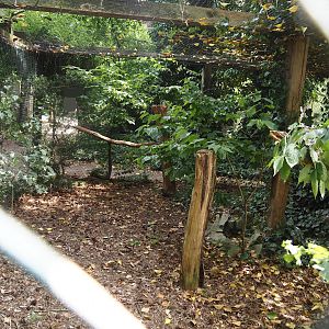 Uhu-Burg - Ural owl aviary, 2024-05-21
