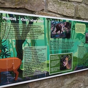 Uhu-Burg - Muntjac signage, 2024-05-21
