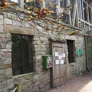 Uhu-Burg - Viewing windows into Eurasian eagle-owl, Steppe eagle and Raven aviary from walk-through aviary, 2024-05-21