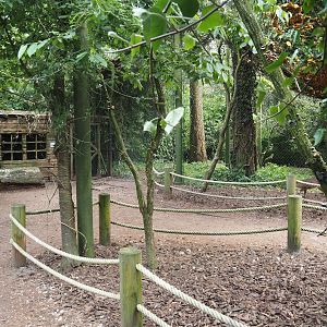 Uhu-Burg - Walk-through aviary, 2024-05-21