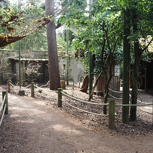 Uhu-Burg - Walk-through aviary, 2024-05-21