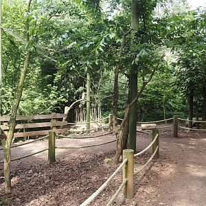 Uhu-Burg - Walk-through aviary, 2024-05-21