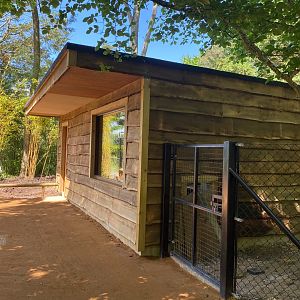 Updated housing (anteater enclosure), CWP, UK