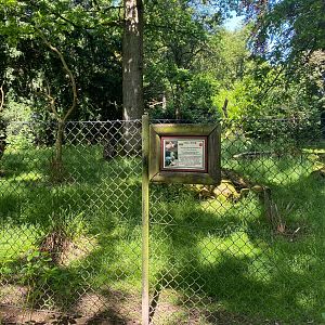 Call duck signage (old anteater enclosure), CWP, UK