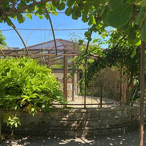 New construction, walled garden, CWP, UK