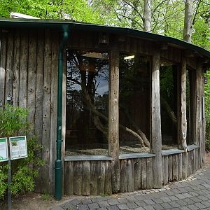 Red panda enclosure (indoor)