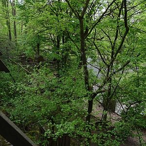 Red panda enclosure (upper view)