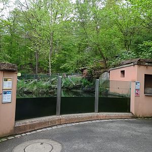Beaver enclosure