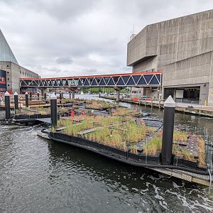 Harbor Wetlands Construction May 2024