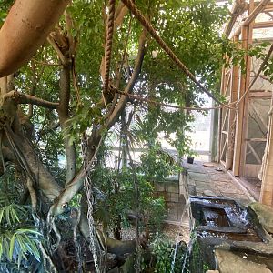 Tropical House upper view 240424