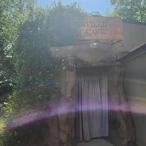Museum Of Arts & Sciences (GA) - Entrance to bat cave
