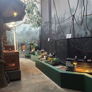 Museum Of Arts & Sciences (GA) - Mini-zoo exhibit path