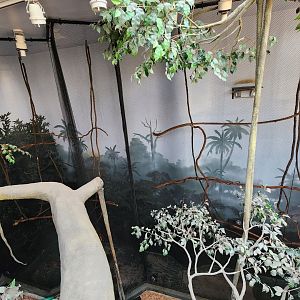 Museum Of Arts & Sciences (GA) - Tamarin exhibit from upper deck