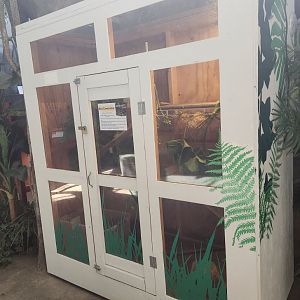 Museum Of Arts & Sciences (GA) - Boa Constrictor "closet" exhibit