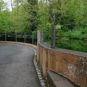 European otter enclosure
