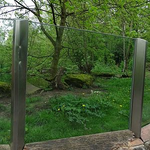 European otter enclosure