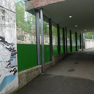 Polar bear enclosure #1