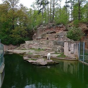 Polar bear enclosure #1