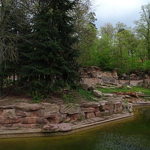 Polar bear enclosure #2